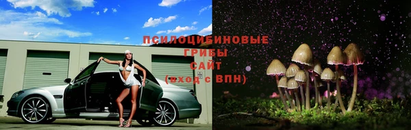 амф Абинск