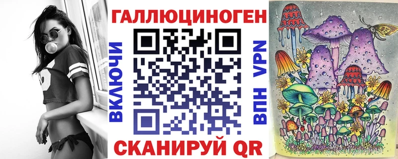 где продают   Покачи  Галлюциногенные грибы Magic Shrooms 